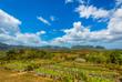 Finca Agroecológica El Paraíso
