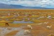 Nationalreservats Salinas y Aguada Blanca