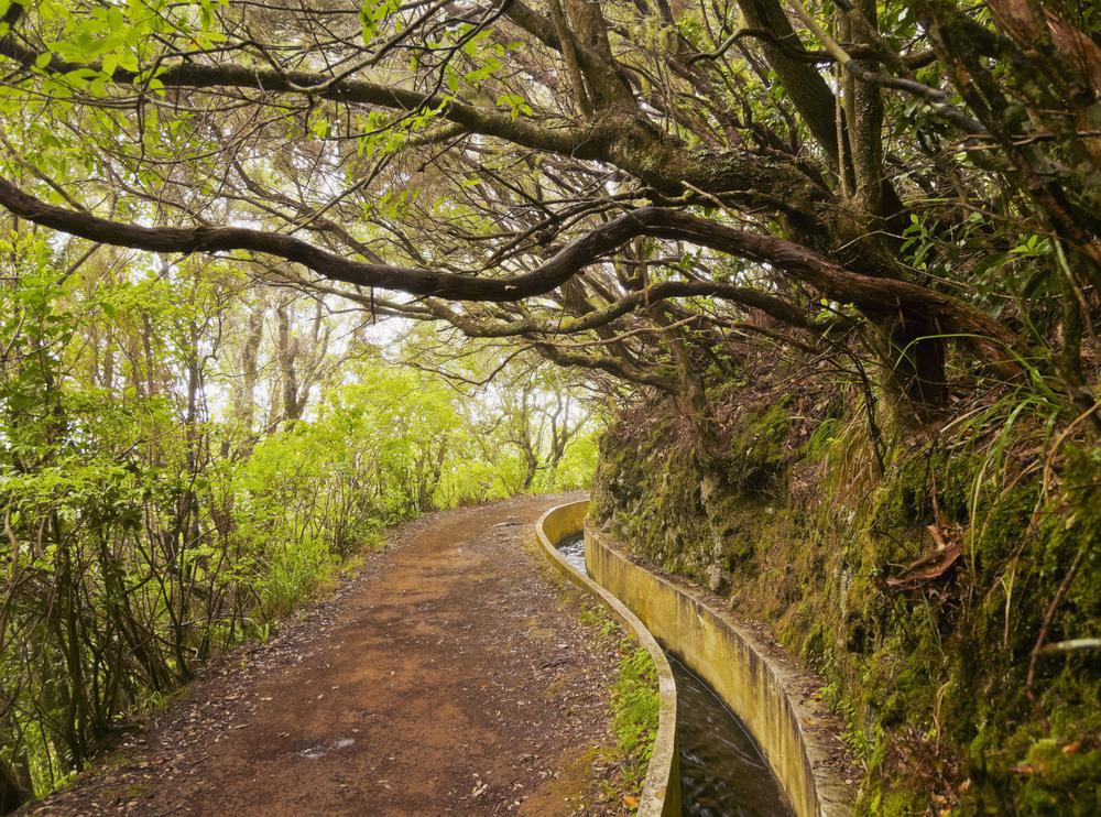 Wandern entlang der Serra do Faial