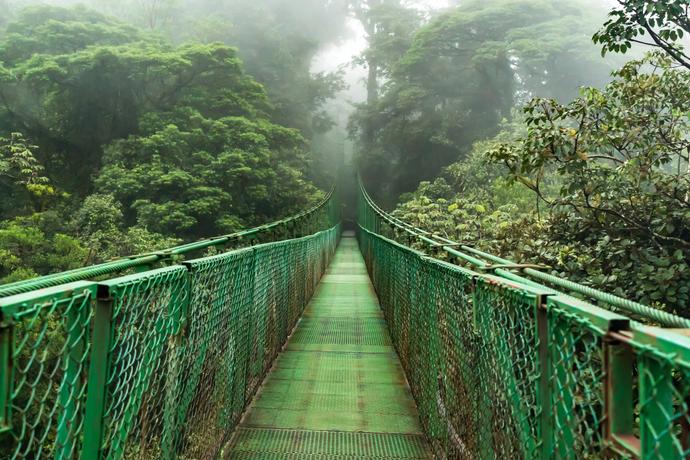 Die Hängebrücke im Monteverde Nebelwald auf einer Costa Rica Reise