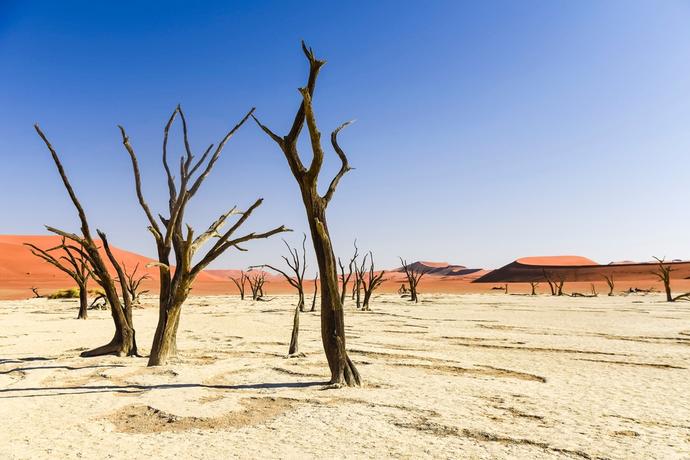 Dead Vlei in Namibia