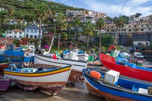 Camara de Lobos