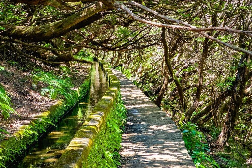 Levada von Prazeres