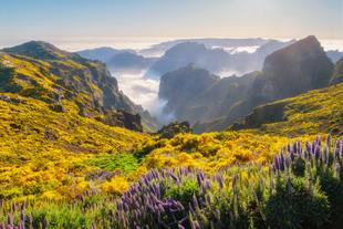 Pico do Arieiro