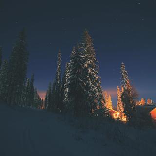 Polarnacht