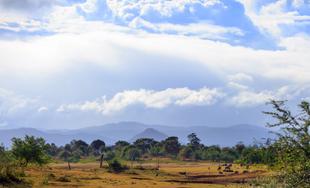 Udawalawe Nationalpark