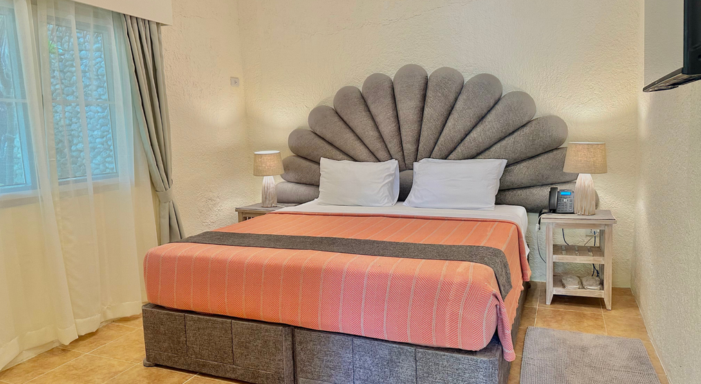 Zimmer Aurora