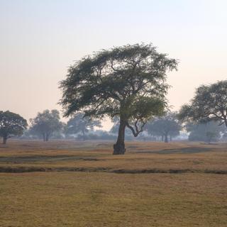 Landschaft im Nationalpark von Sambia