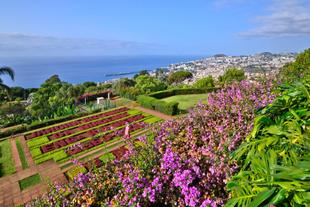 Botanischer Garten Funchal