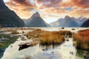 Milford Sound 