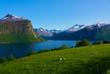 Blick auf den Romsdalsfjord bei Molde