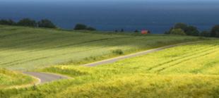 Faszination-Landschaft-Rügen 