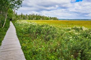 Kanada 15 Tage Rundreise, Höhepunkte im Osten, Pointe Aux Outardes