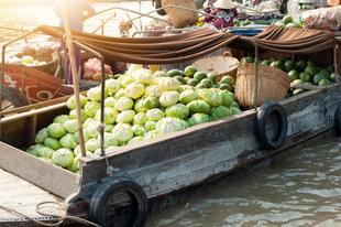 Mekong