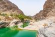 Wadi Arbeieen