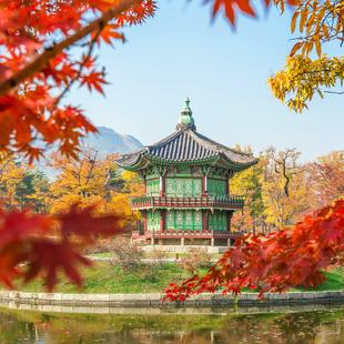 Blick auf Tempel durch rotes Herbstlaub