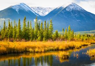 Landschaft im Jasper National Park