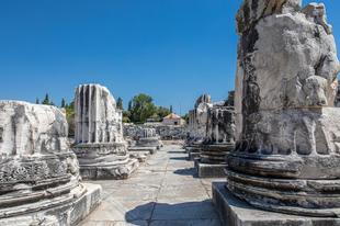 Didyma 