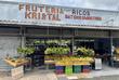 Fruchtstände in Costa Rica