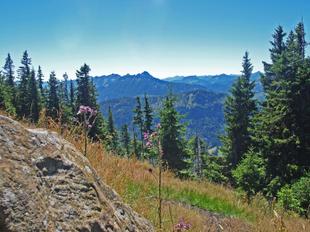 Wanderung, Alpspitzbahn