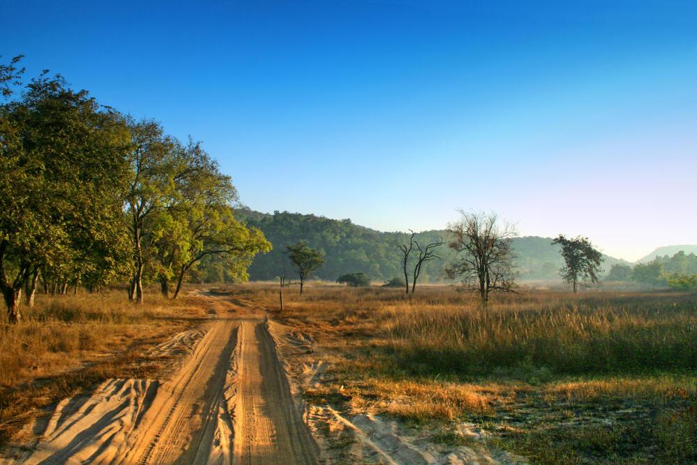 Landschaft im Bandhavgarh Nationalpark 