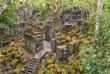Beng Mealea