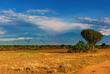 Landschaft im Queen Elizabeth Nationalpark 