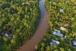 Palmenlandschaft des Mekong Delta