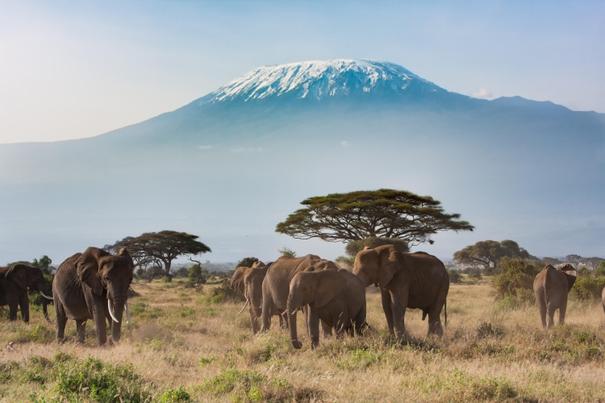 Amboseli-Nationalpark mit dem Kilimandscharo 
