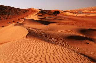 Landschaft in Wahiba Sands