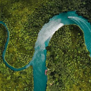 Fluss durch Regenwald auf Bohol