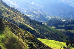 Blick auf die Valle del Cocora