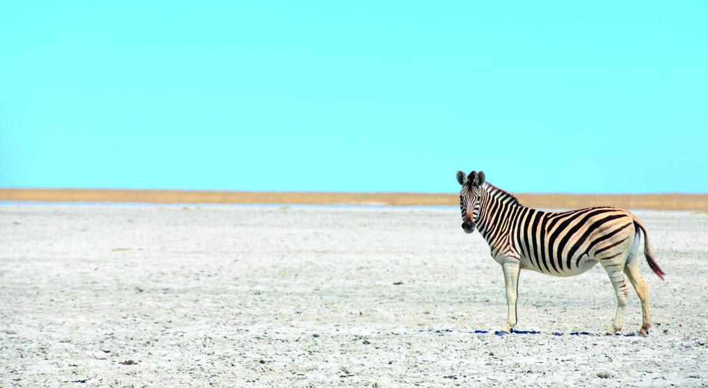 Südafrika & Botswana Landschaft