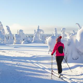 Langlauf in Lappland