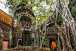 Von Pflanzen zugewucherte Tempelruinen von Angkor Wat