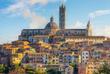 Blick auf Siena und den Dom