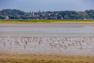Bucht von Somme