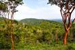 UNESCO-Biosphärenreservat Sierra del Rosario