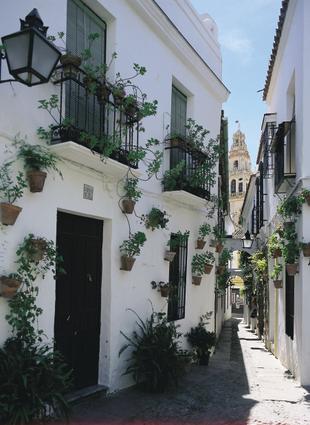 Córdoba calle de las flores