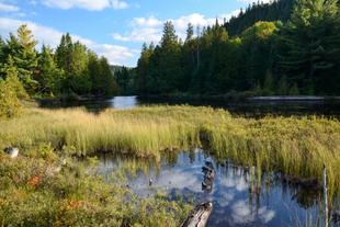 La Mauricie Nationalpark 