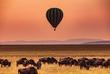 Heißluftballon im Morgenlicht im Serengeti Nationalpark 