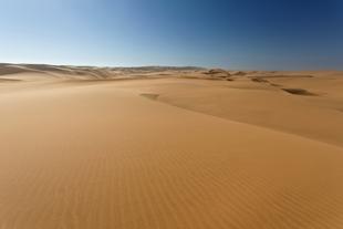 Namib Wüste