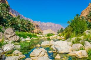 Wadi Tiwi