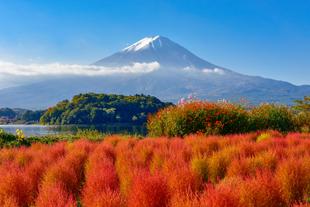Oishi Park
