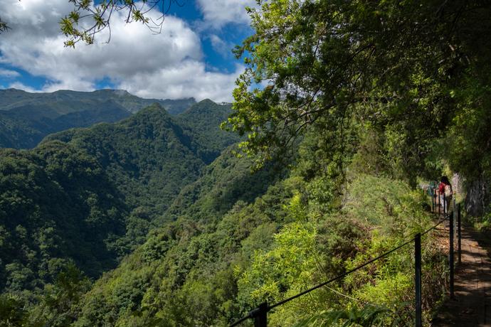 Zu sehen ist der Wanderweg entlang der Levada do Rei auf Madeira, umgeben von dichtem, üppigem Grün und tropischer Vegetation.