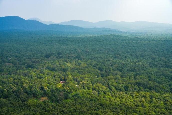 Naturlandschaft rund um Sigiriya
