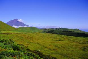 Typisch grüne Landschaft auf der Insel Pico
