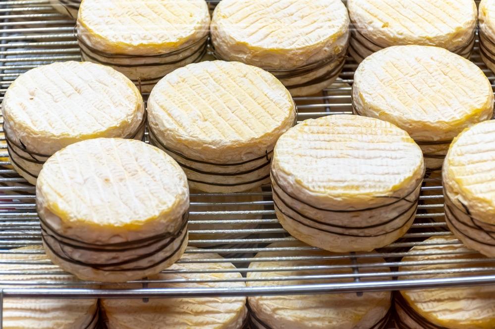 Livarot-Käse