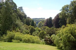 Trebah Gardens 