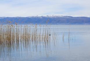 Ohrid See mit Blick auf den Galičica-Nationalpark